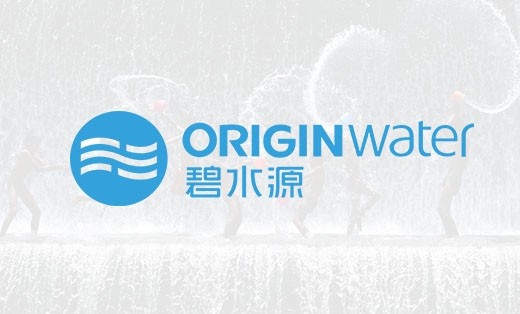 【碧水源】?jī)羲娖脚_(tái)開發(fā)