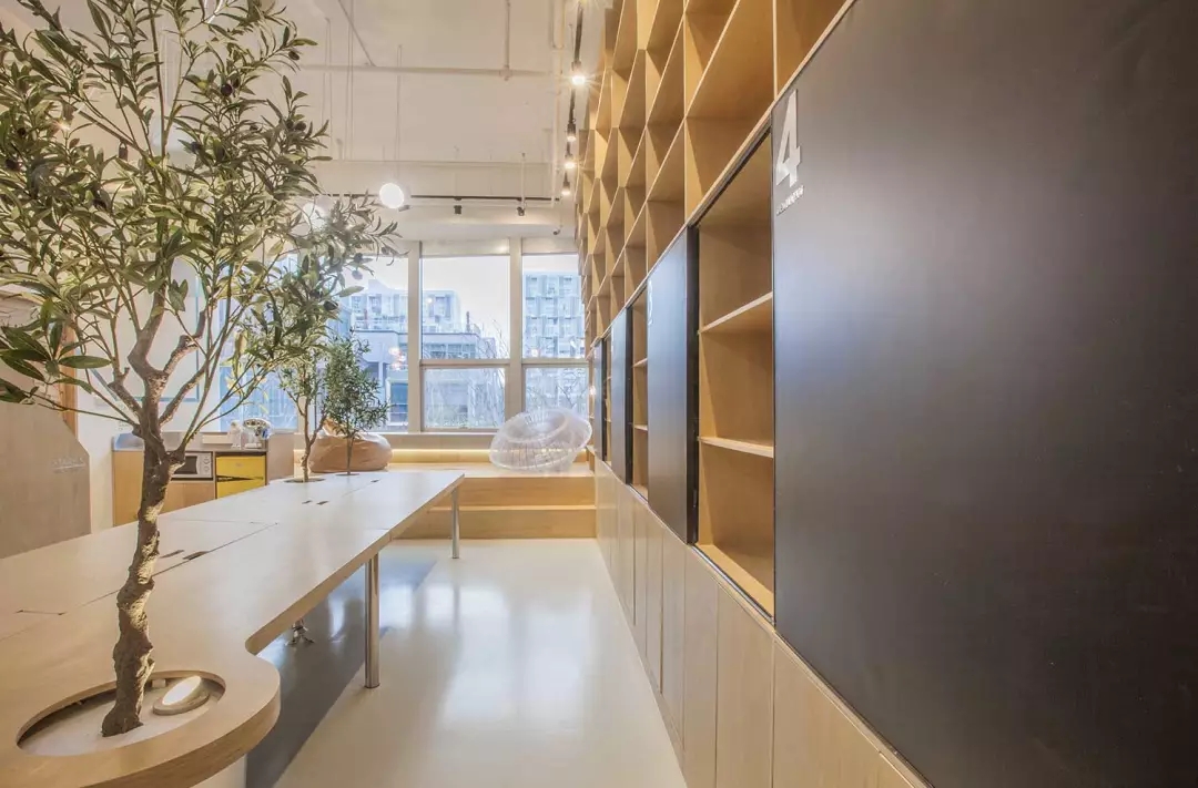 牛在墻上飛，猴子樹梢醉；這是在動物園辦公嗎？